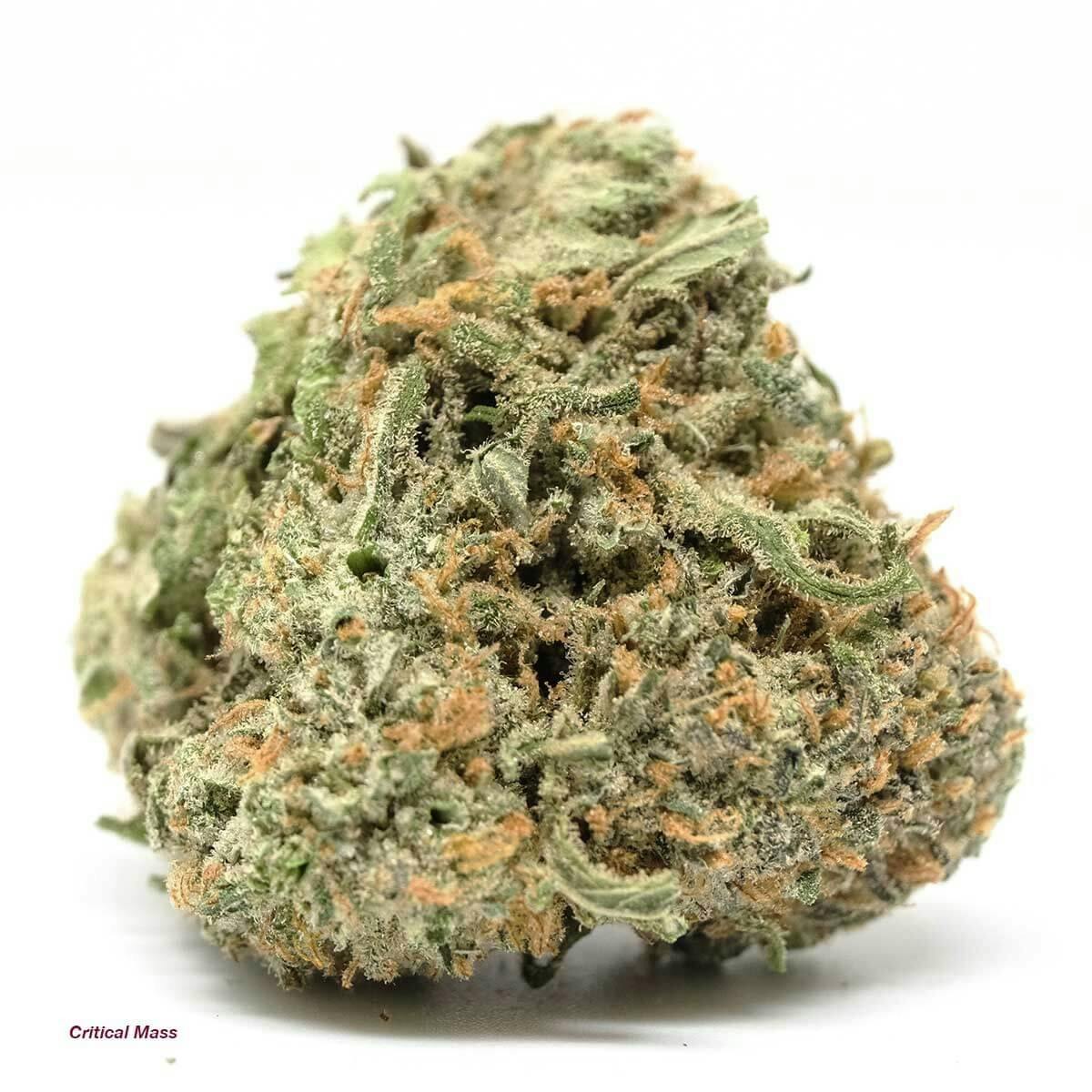 Purple Punch